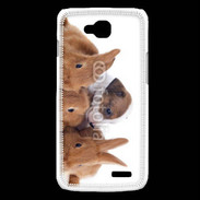 Coque LG L90 Gardien de lapins