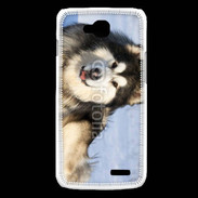 Coque LG L90 Chien d'Alaska