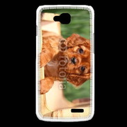 Coque LG L90 Chiot King Charles 2