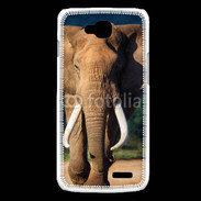 Coque LG L90 Éléphant de face