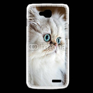 Coque LG L90 Magnifique chat persan aux yeux bleus