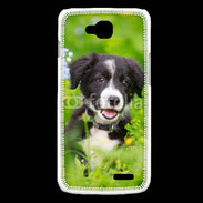 Coque LG L90 Chiot Border Collie 100