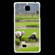 Coque LG F5 Rizière au Vietnam