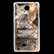 Coque LG F5 Chaton gris 2