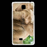 Coque LG F5 Elephant d'Afrique