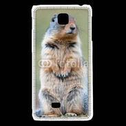 Coque LG F5 Marmotte 2