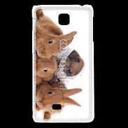 Coque LG F5 Gardien de lapins