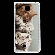 Coque LG F5 Sieste de chatons