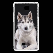 Coque LG F5 Chien Husky de Sibérie