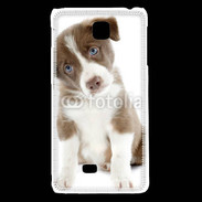 Coque LG F5 Chiot Colley marron et blanc