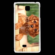 Coque LG F5 Chiot King Charles 2