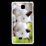 Coque LG F5 Chien Bull terrier anglais 1