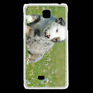 Coque LG F5 Chiot blanc et gris 1