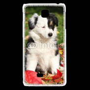 Coque LG F5 Adorable chiot Border collie