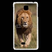 Coque LG F5 Lion d'Afrique 5