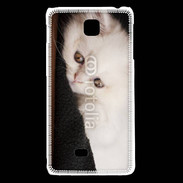 Coque LG F5 Chat persan blanc 5