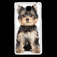 Coque LG F5 Chiot Yorkshire terrier 25