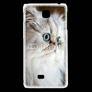 Coque LG F5 Magnifique chat persan aux yeux bleus