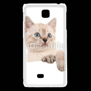 Coque LG F5 Petit chaton en portrait