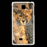 Coque LG F5 Jeune félin