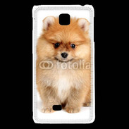 Coque LG F5 Chiot Spitz 15