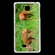 Coque LG F5 Chevreuil PB 1