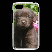 Coque Blackberry Q5 Chien labrador chocolat 3