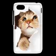Coque Blackberry Q5 Chaton caché