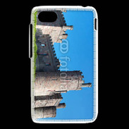 Coque Blackberry Q5 Château Irlandais
