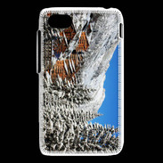 Coque Blackberry Q5 Chalets Grand Bornand