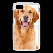 Coque Blackberry Q5 Chien Golden