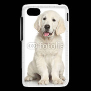 Coque Blackberry Q5 Chiot Golden retriever 100