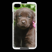 Coque Blackberry Z30 Chien labrador chocolat 3