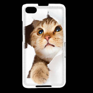 Coque Blackberry Z30 Chaton caché