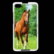 Coque Blackberry Z30 Cheval arabe robe marron et blanche