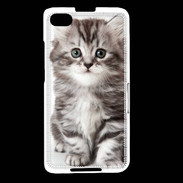 Coque Blackberry Z30 Chaton gris 