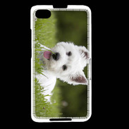 Coque Blackberry Z30 Chiot terrier blanc 2
