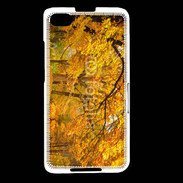 Coque Blackberry Z30 Arbres en automne