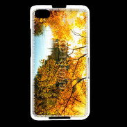 Coque Blackberry Z30 Automne et rivière