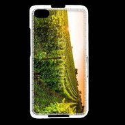 Coque Blackberry Z30 Vignes 3