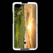 Coque Blackberry Z30 Couché de soleil sur champs de vignes