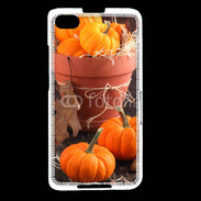 Coque Blackberry Z30 Citrouilles 3