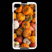 Coque Blackberry Z30 fond de citrouilles automne