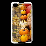 Coque Blackberry Z30 Citrouilles