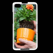 Coque Blackberry Z30 Horticulteur 6
