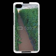 Coque Blackberry Z30 Horticulteur 8