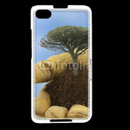 Coque Blackberry Z30 Paysagiste
