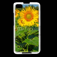 Coque Blackberry Z30 Champs de Tournesol