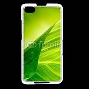 Coque Blackberry Z30 Feuille écologie