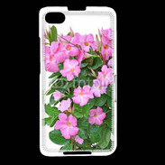 Coque Blackberry Z30 Fleurs Dipladénia